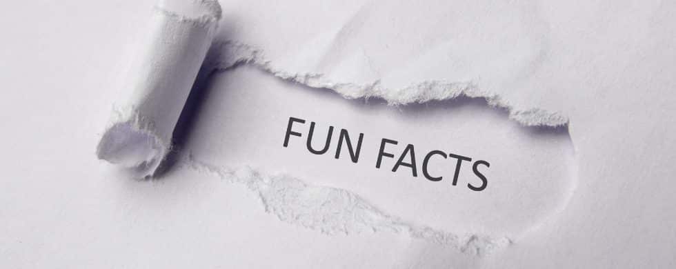 fun facts Towers Plumbing